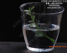 航空水晶餐具的演變循環 一次性餐飲的時代因素與環境保護”，以下是預設主題結構適配的生產廠家前沿關注與公共意見表達，生成具有一定詮釋覆蓋的文章供參考。